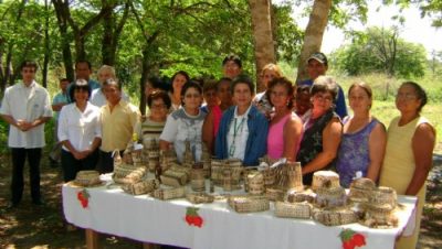 10595-curso-ensina-artesanato-em-fibra-de-bananeira