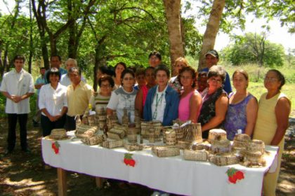 10595-curso-ensina-artesanato-em-fibra-de-bananeira