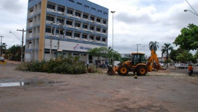 10608-por-motivos-de-seguranca-meio-ambiente-retira-arvores-da-cidade