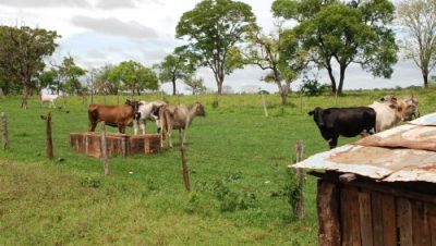 10617-secretaria-de-agronegocio-inicia-projeto-de-iatf