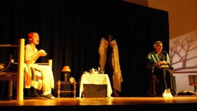 10735-semana-cultural-ms-em-cena-atrai-grande-publico