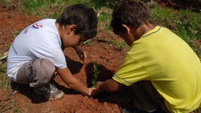 10757-alunos-plantam-13-mil-mudas-para-recuperar-mata-ciliar