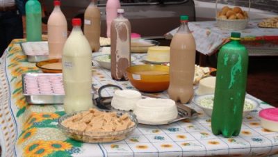 10929-secretaria-de-agronegocios-promove-curso-de-derivados-de-leite