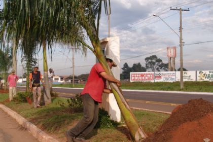 1245-meio-ambiente-promove-plantio-em-comemoracao-ao-dia-da-arvore