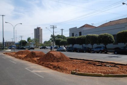 13062-avenida-rosario-congro-tera-verde-nos-canteiros-centrais