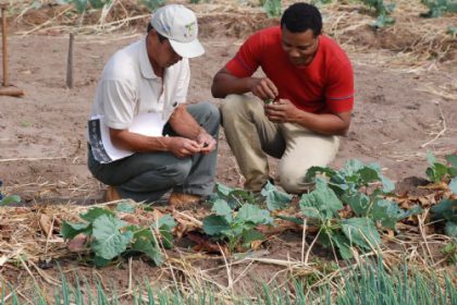 13073-agricultores-do-cinturao-verde-recebem-visita-de-tecnicos-do-sebrae