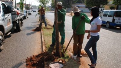 13175-avenida-clodoaldo-garcia-recebe-paisagismo-com-78-mudas