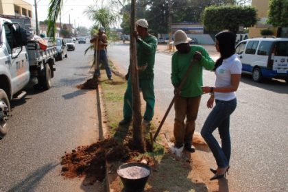 13175-avenida-clodoaldo-garcia-recebe-paisagismo-com-78-mudas