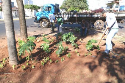 14761-meio-ambiente-revitaliza-paisagismo-urbano-nos-canteiros-centrais-de-avenidas