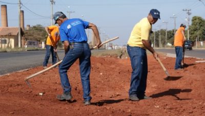 14817-dos-recupera-guias-e-revitaliza-canteiro-central-de-avenida