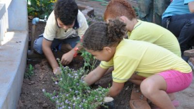 15895-escola-municipal-atende-mais-de-400-alunos-na-regiao-do-jardim-oiti