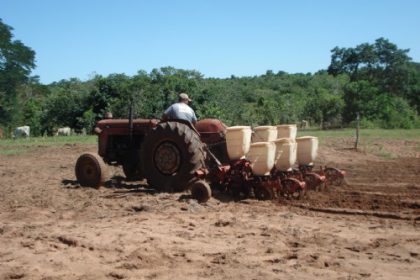 16084-milho-com-ciclo-mais-curto-tera-areas-de-plantio-em-tres-lagoas