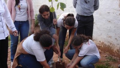 1805-projeto-de-arborizacao-conscientiza-estudantes