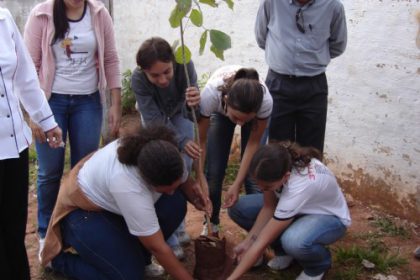 1805-projeto-de-arborizacao-conscientiza-estudantes