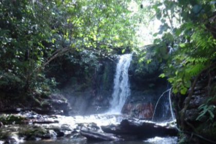 19946-parque-natural-municipal-do-pombo