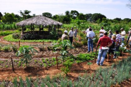 19961-projeto-pais-no-cinturao-verde