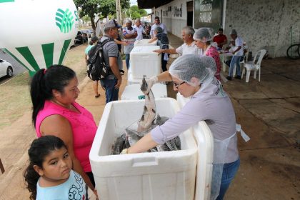 1a. Feira do Peixe (12)