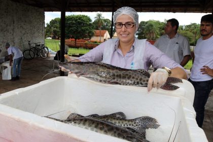 1a. Feira do Peixe (14)