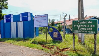 zoonoses entomologia (3)