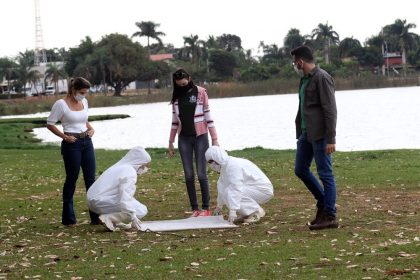 Carrapato Lagoa M (21)