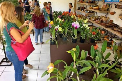 Exposição Orquídeas 2