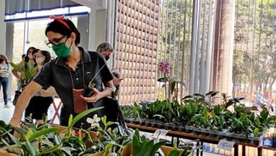 Orquidário Santa Ana