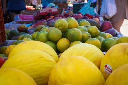 feira_l (113)