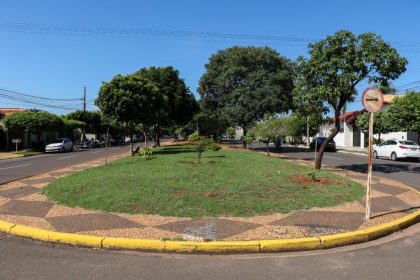 canteiro central (3)