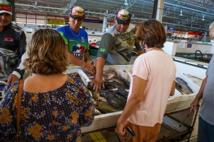 feira_do_peixe-30