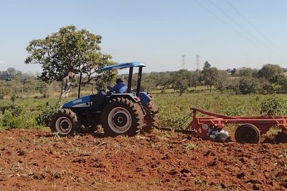 Amigos do Campo (4)