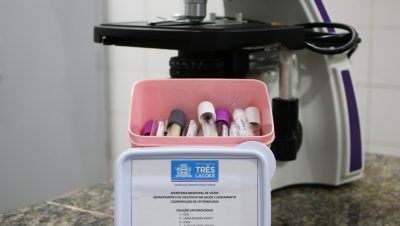 Coleção Entomologica (3)