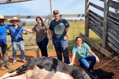 veterinario amigos do campo (1)