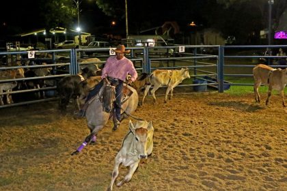 ranch sorting (10)