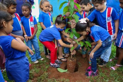 Escola mais verde sao carlos (11)