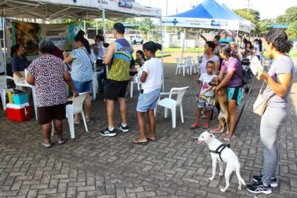 Projeto-Protetoras-em-Acao-3