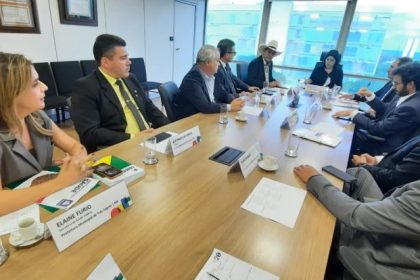 Reunião Prefeito, Secretários e Vereadores – 2023 – Simone Tebet – Brasília