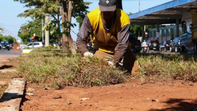 Revitalização Canteiro Av Rosário Congro