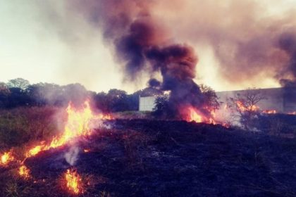 Queimadas próximo a Metal Frio – 25 07 23 (1)