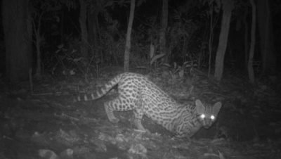 parque do pombo 1 ano (11)