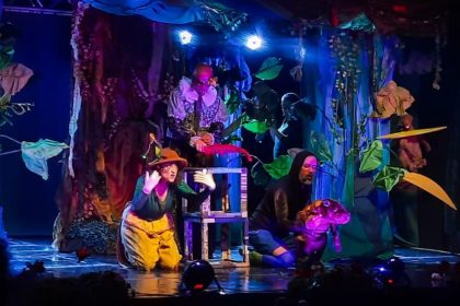 Teatro-Florestas-dos-Misterios-Diversao-em-Cena-45