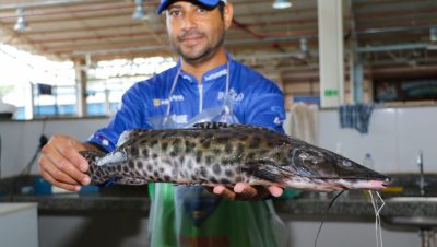 FEIRA DO PEIXE 28-03 (12)