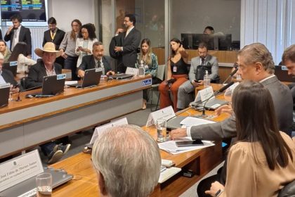 Guerreiro participa de reunião da Comissão de Meio Ambiente no Senado em Brasília 1