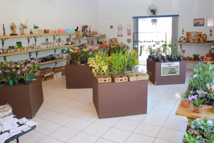 EXPOSIÇÃO DE ORQUIDEAS ACLAMS 31-10 (17)