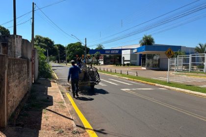 sinalização angelina tebet