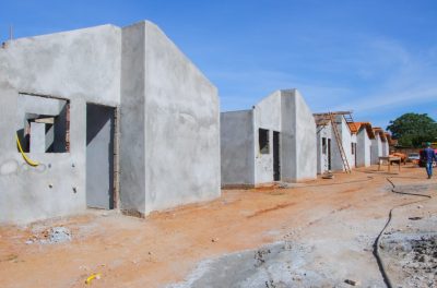 CASAS VIOLETAS 06-05 (1)