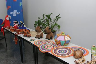 Workshop de Economia Criativa e Mercado - Território Bioceânico + Criativo - CULTURA-SEMEC (14)