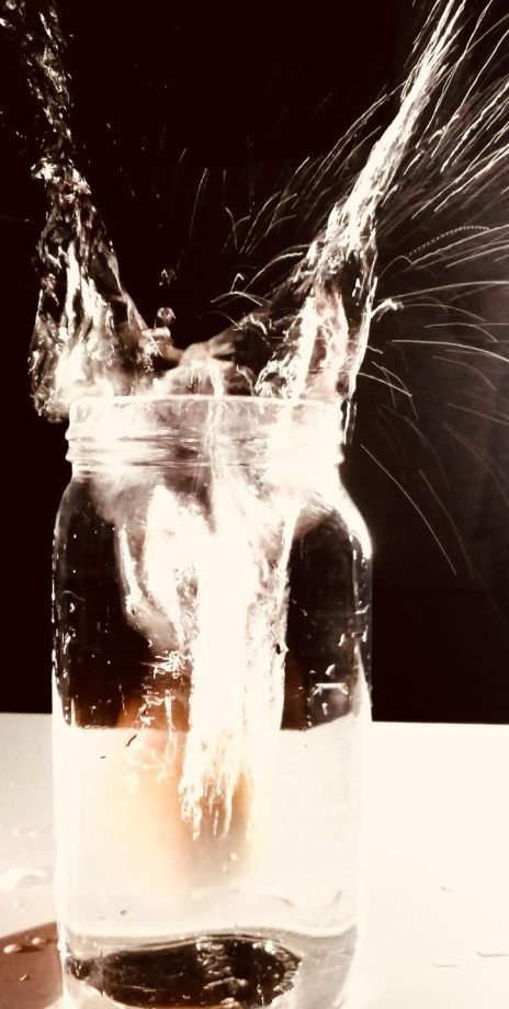 Imagem do WhatsApp de 2025-10-31 à(s) 08.42.07_eabd3824