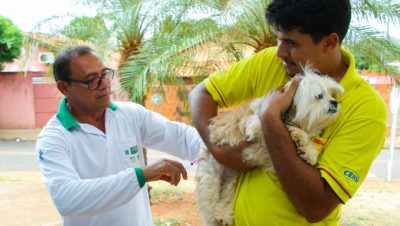 VACINAÇÃO ANTI RABICA 04-10 (1)