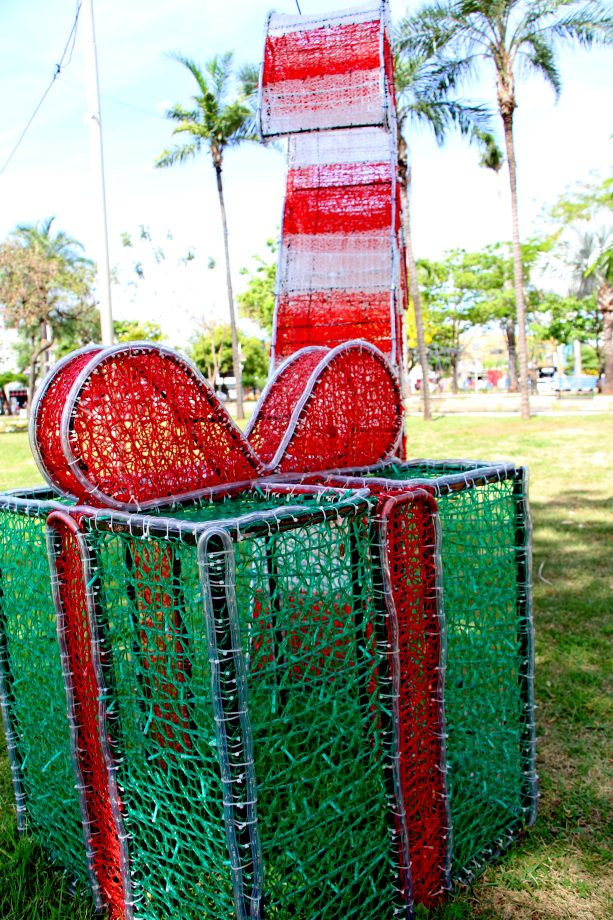 DECORAÇÃO NATAL 11-11 (11)