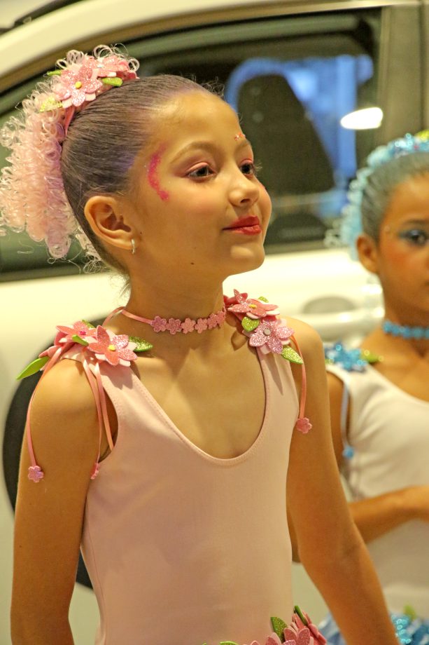 FESTIVIDADES NATALINAS SHOPPING - 14 E 15 (12)